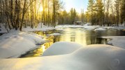 GJV_2230