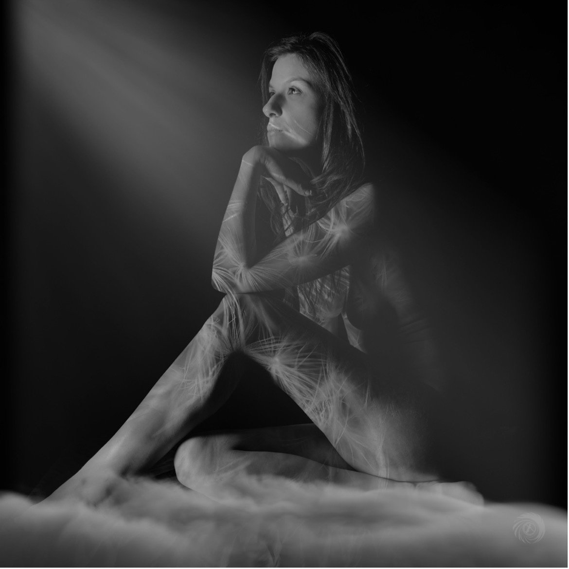 Meditation on Light and Stillness